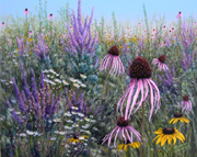 Pollinator Heaven